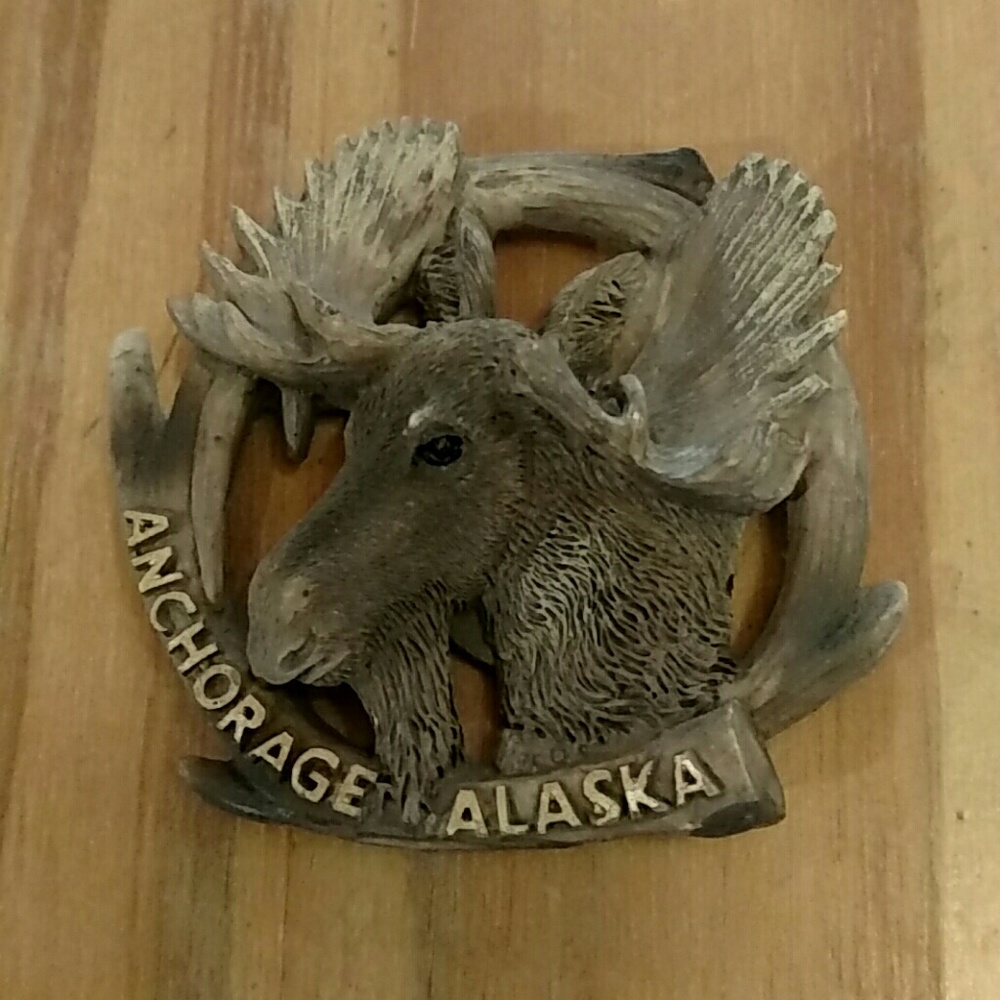 Anchorage, Alaska moose magnet!